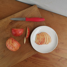 load image into gallery viewer, glossy white plate ~ size small