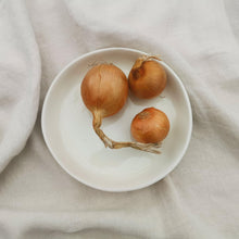 load image into gallery viewer, the everything plate